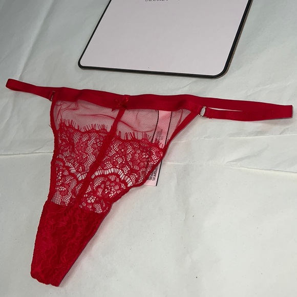 (L) Victoria's Secret Mesh & Lace VString (THONG) Panty - Picture 8 of 11